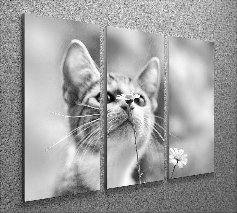 Curious 3 Split Panel Canvas Print featuring vibrant colors and intricate designs, perfect for enhancing any living space.
