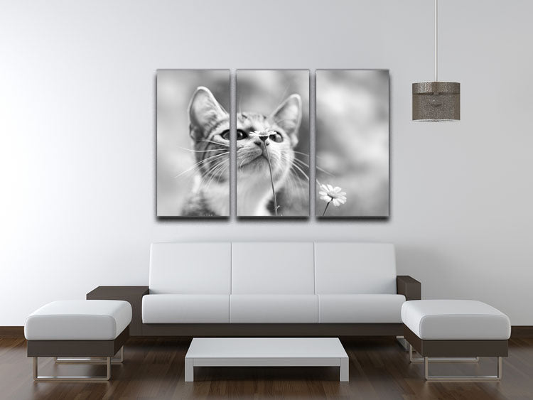 Curious 3 Split Panel Canvas Print featuring vibrant colors and intricate designs, perfect for enhancing any living space.