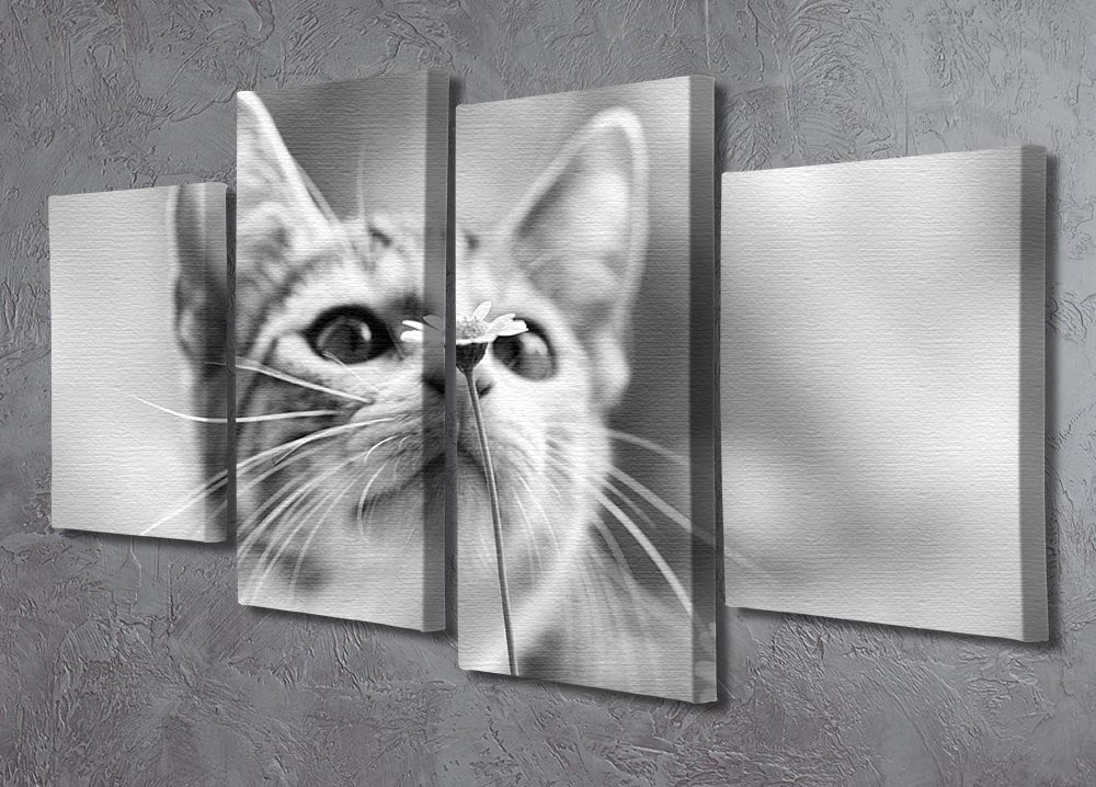 Curious 4 Split Panel Canvas artwork featuring four equal sections creating a cohesive design, ideal for modern decor.