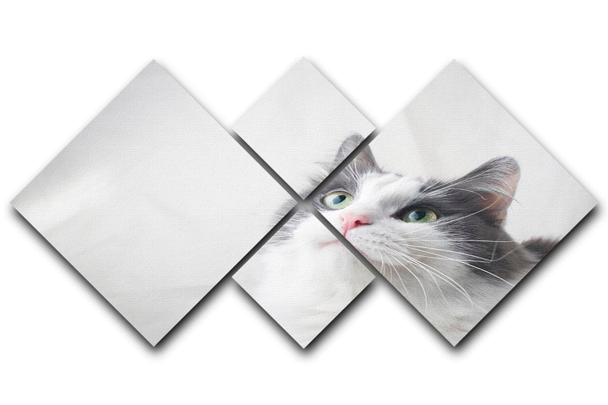 A charming multi-panel canvas featuring a curious cat looking up, divided into four equal square sections, showcasing vibrant colors and intricate details.