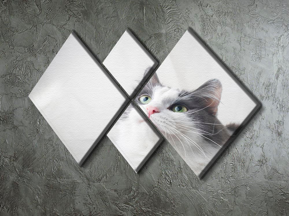 A charming multi-panel canvas featuring a curious cat looking up, divided into four equal square sections, showcasing vibrant colors and intricate details.