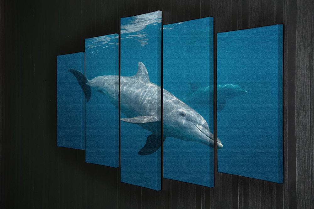 Curious Dolphin 5 Split Panel Canvas artwork featuring a vibrant dolphin design across five panels.