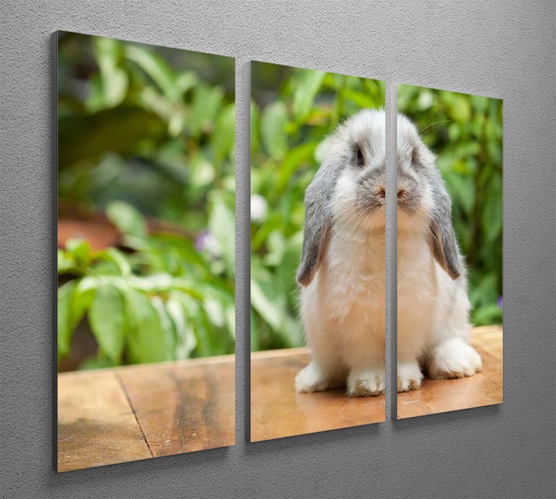 A beautiful 3-panel canvas print featuring a cute Holland Lop rabbit, perfect for home decor.