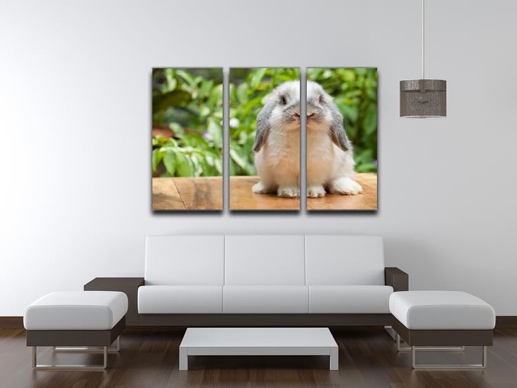 A beautiful 3-panel canvas print featuring a cute Holland Lop rabbit, perfect for home decor.