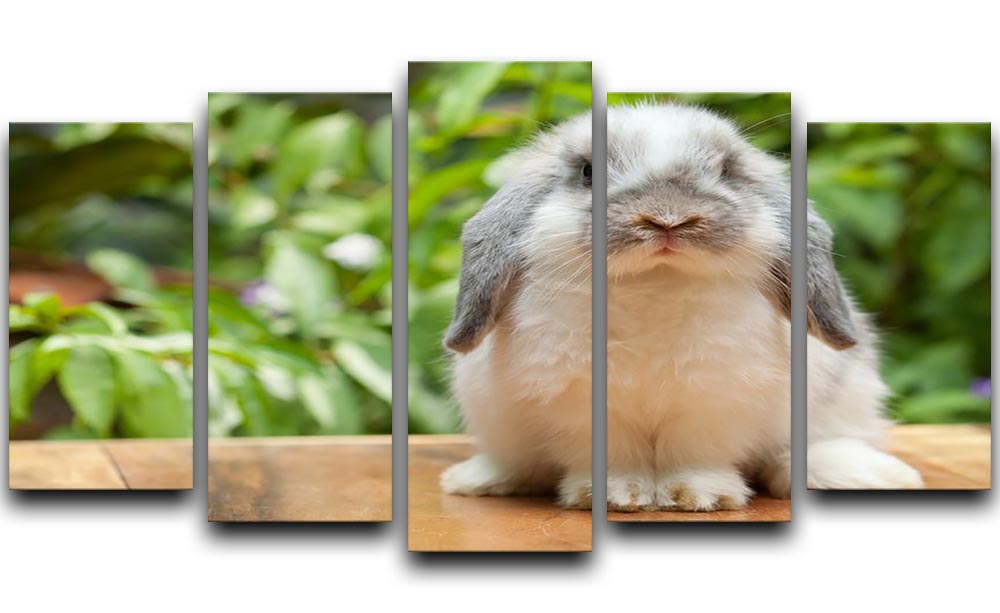 A charming 5-split canvas artwork featuring a cute Holland Lop rabbit, showcasing its floppy ears and playful expression.