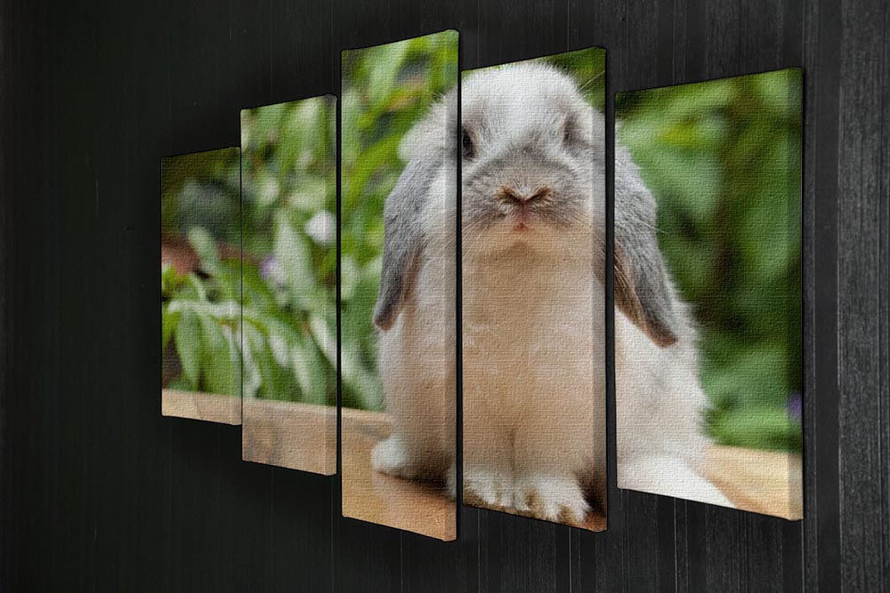 A charming 5-split canvas artwork featuring a cute Holland Lop rabbit, showcasing its floppy ears and playful expression.