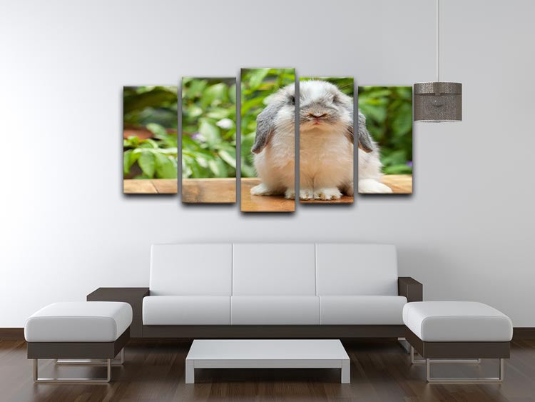 A charming 5-split canvas artwork featuring a cute Holland Lop rabbit, showcasing its floppy ears and playful expression.