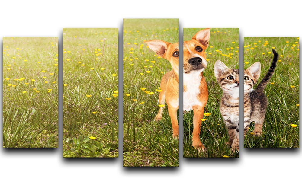 A charming 5 split panel canvas artwork featuring a cute kitten and puppy playing together in a vibrant green field.