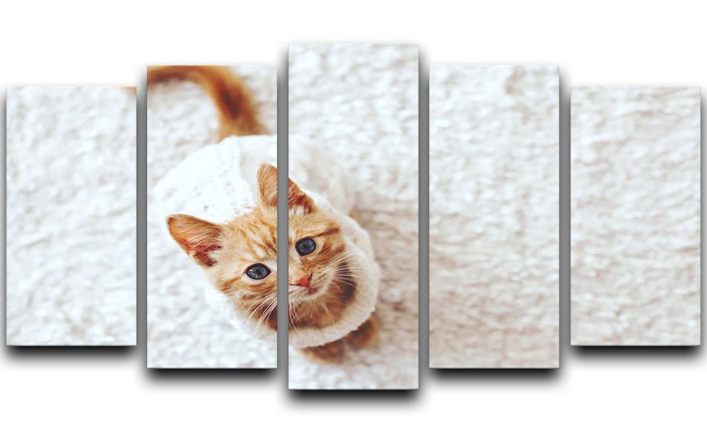 A cute little kitten wearing a warm knitted sweater displayed on a 5-split canvas, creating a charming and dynamic artwork.