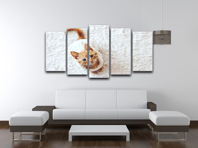 A cute little kitten wearing a warm knitted sweater displayed on a 5-split canvas, creating a charming and dynamic artwork.