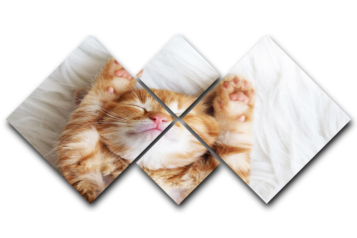 A cute little red kitten sleeping on a fluffy white fur blanket, displayed in a 4-square canvas arrangement.