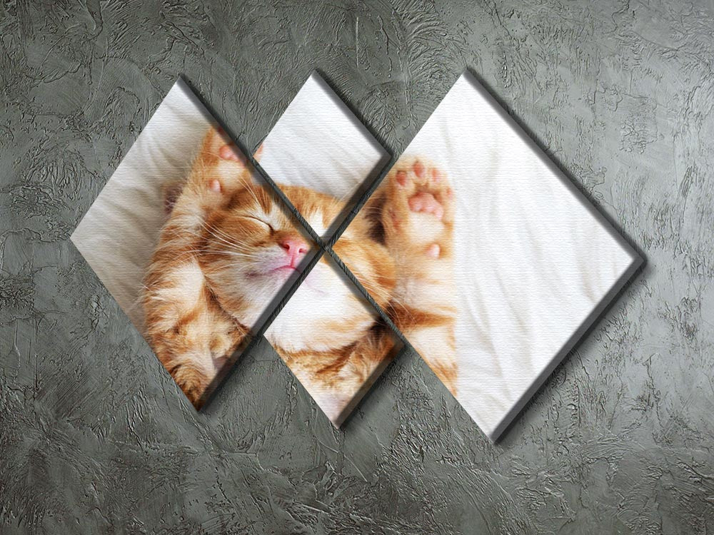 A cute little red kitten sleeping on a fluffy white fur blanket, displayed in a 4-square canvas arrangement.