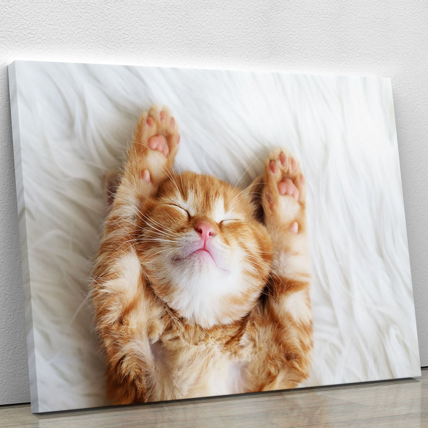 A cute little red kitten sleeping on a soft white fur blanket, showcasing its adorable features and peaceful demeanor.