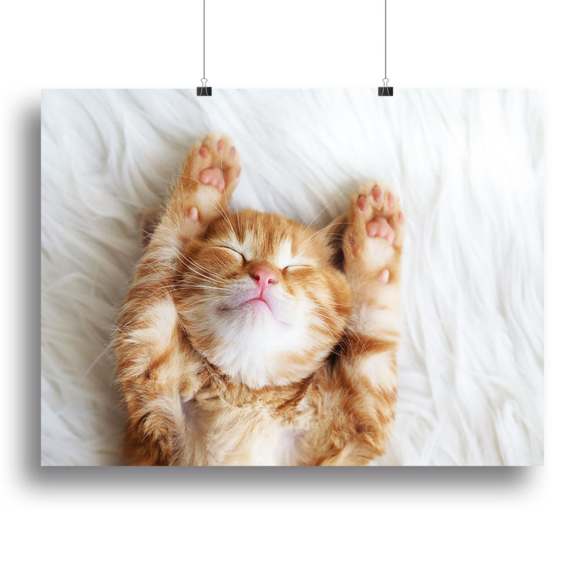 A cute little red kitten sleeping on a soft white fur blanket, showcasing its adorable features and peaceful demeanor.