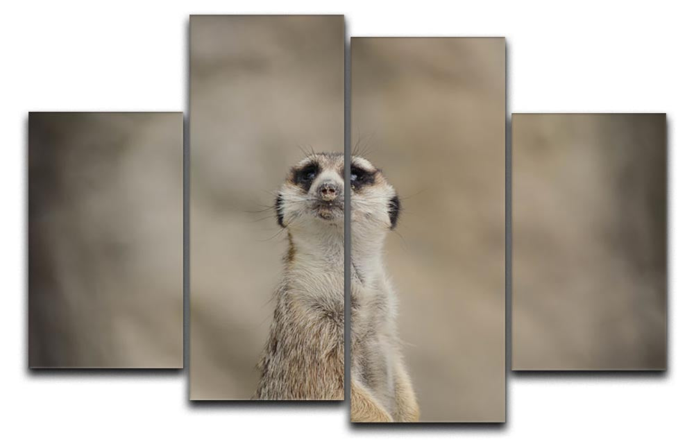 Cute Meerkat 4 Split Panel Canvas artwork featuring four panels with a playful meerkat design, perfect for home decor.