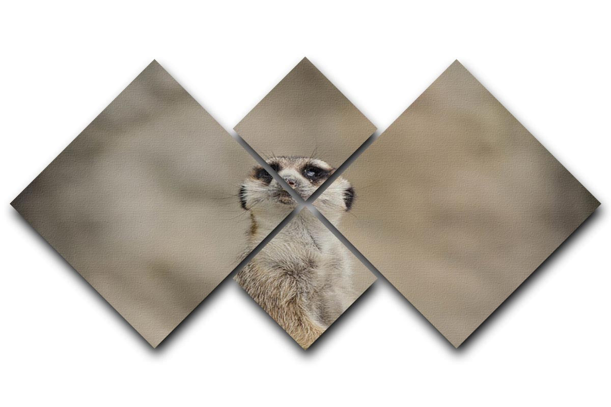 Cute meerkat artwork displayed on a four-panel canvas, showcasing playful meerkats in a vibrant design.