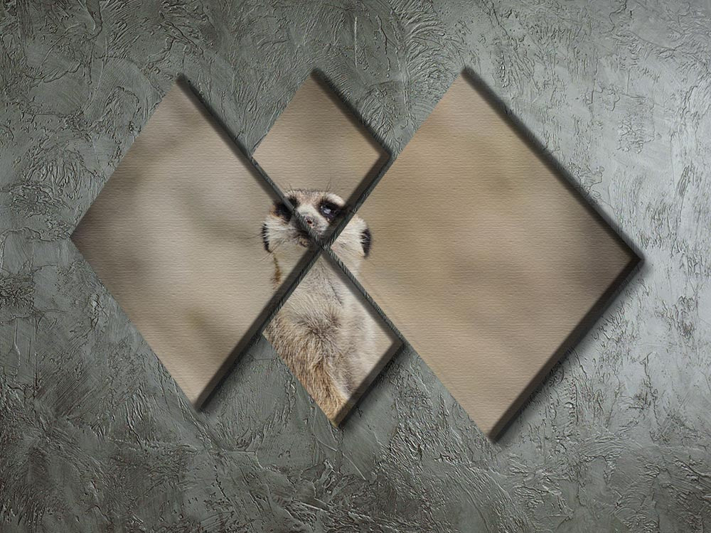 Cute meerkat artwork displayed on a four-panel canvas, showcasing playful meerkats in a vibrant design.