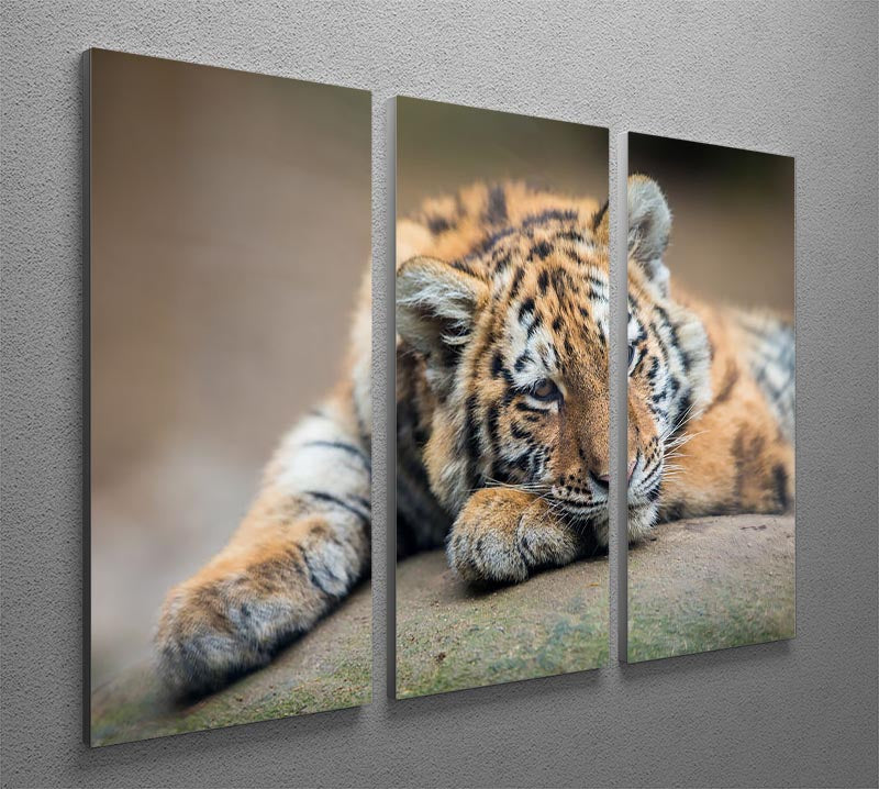 A cute tiger cub resting lazily on a soft surface, depicted in a vibrant 3-panel canvas print, perfect for home decor.