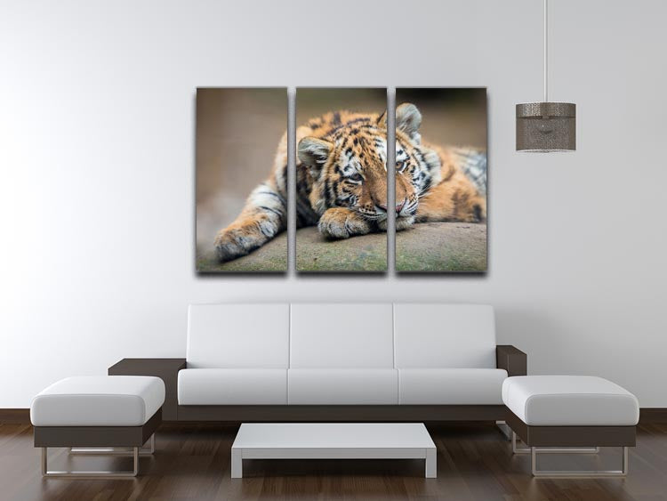 A cute tiger cub resting lazily on a soft surface, depicted in a vibrant 3-panel canvas print, perfect for home decor.