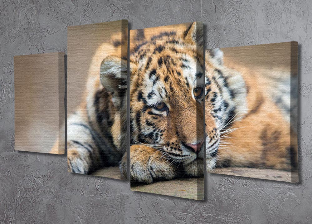 A charming 4-split canvas artwork featuring a cute tiger cub resting lazily, perfect for home decor.