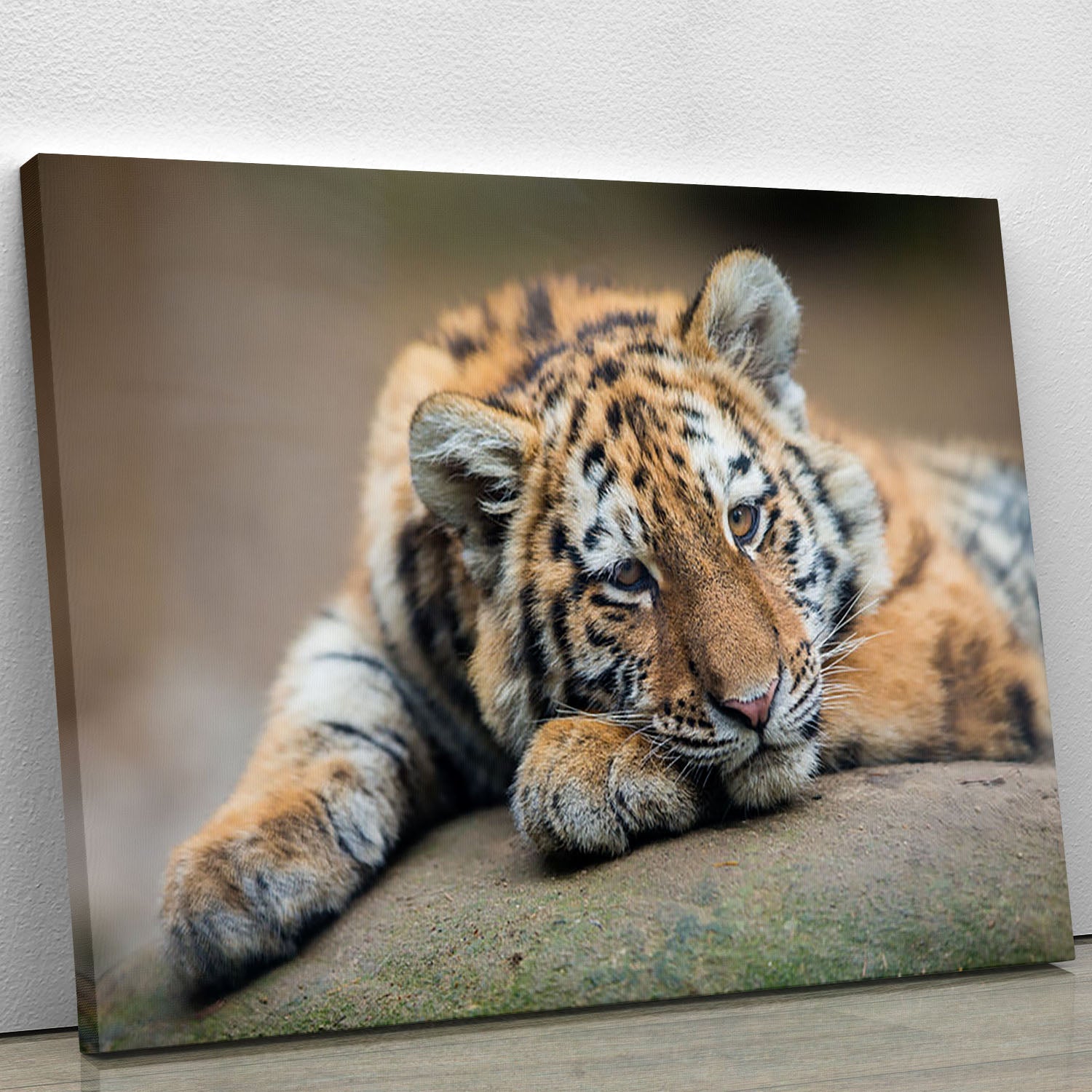 A cute tiger cub resting lazily on a canvas print, showcasing vibrant colors and intricate details, perfect for home decor.