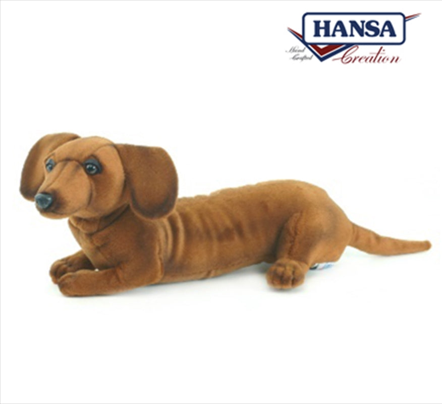 A soft and cuddly 40cm Dachshund plush toy, perfect for snuggling and play.