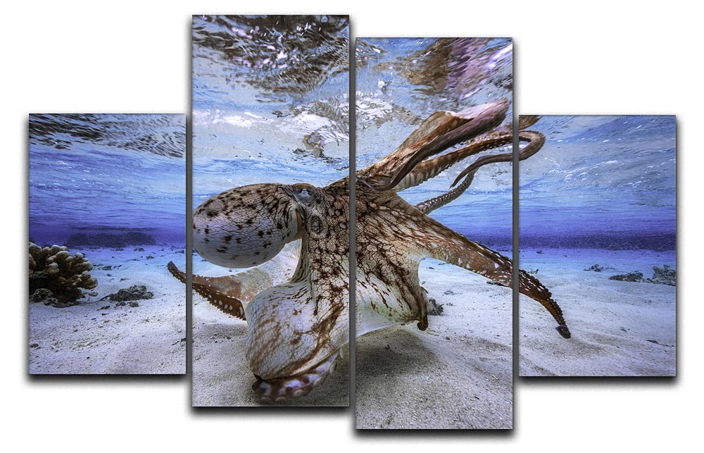 A vibrant 4-split canvas artwork featuring a dancing octopus, showcasing dynamic colors and intricate details across four panels.