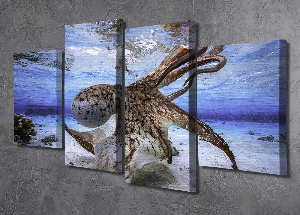 A vibrant 4-split canvas artwork featuring a dancing octopus, showcasing dynamic colors and intricate details across four panels.
