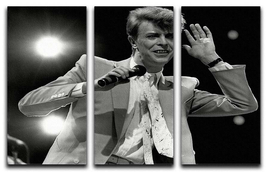 David Bowie in concert 3-panel canvas print showcasing vibrant colors and dynamic design, perfect for enhancing any living space.