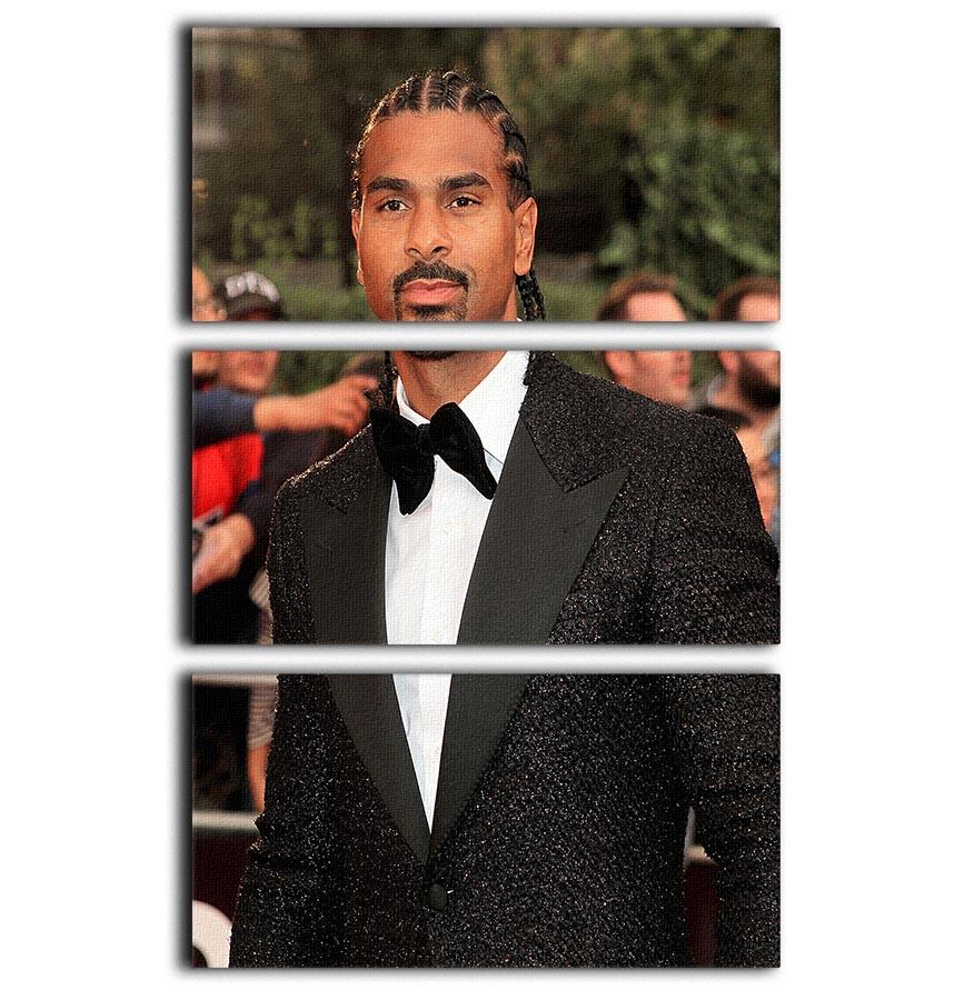 David Haye 3 Split Panel Canvas Print showcasing three high-quality canvases with a cohesive design, perfect for home or office decor.