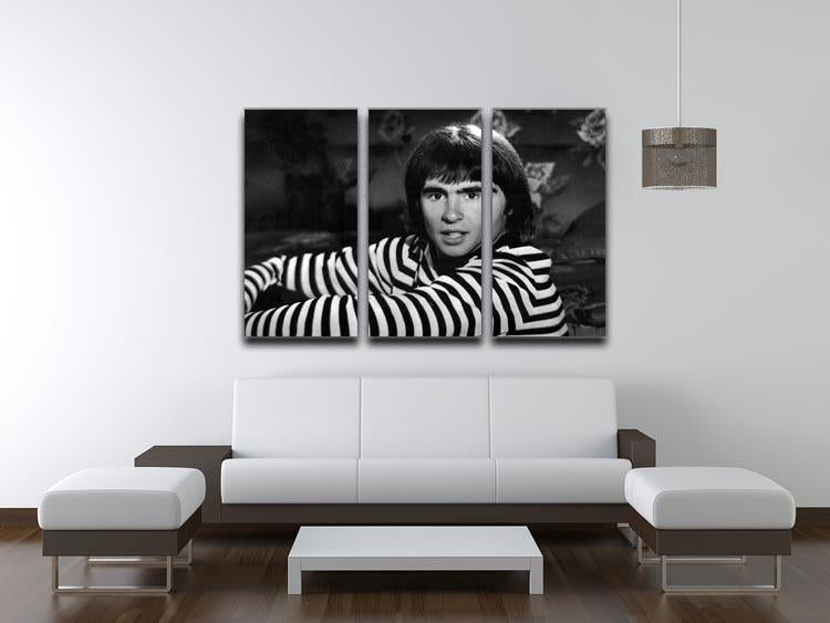 Davy Jones of the Monkees 3-panel canvas print showcasing vibrant colors and intricate details, perfect for home decor.