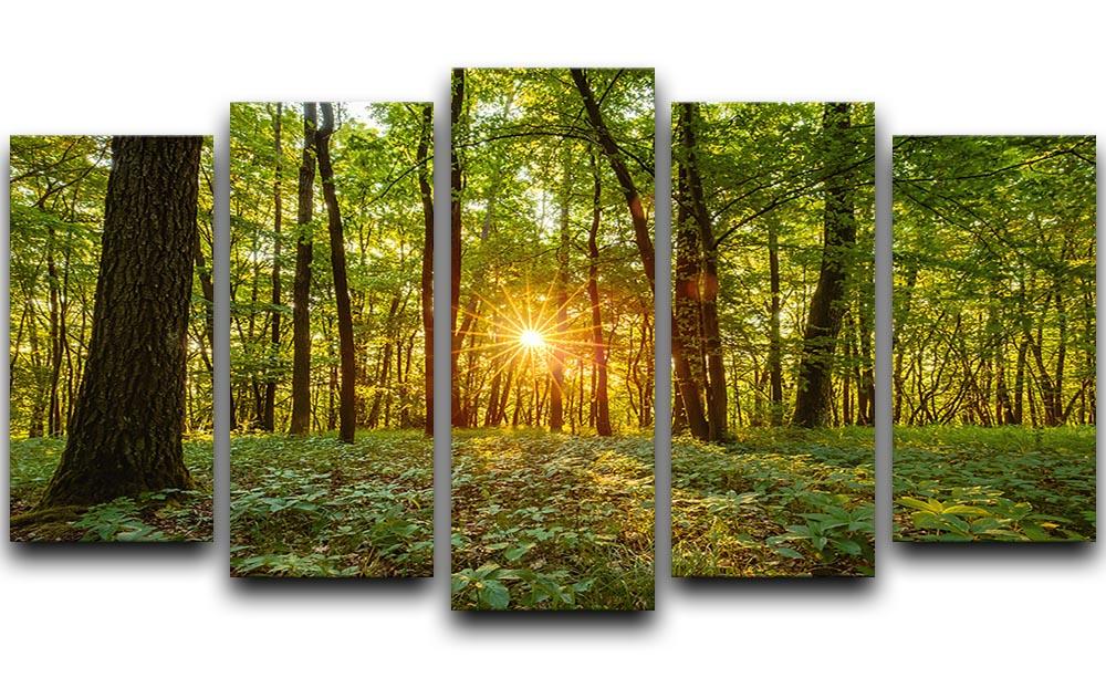 A beautiful 5-split canvas artwork depicting a serene forest at dawn in Bavaria, showcasing vibrant colors and intricate details across five panels.