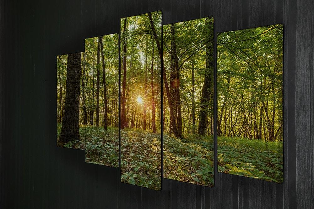 A beautiful 5-split canvas artwork depicting a serene forest at dawn in Bavaria, showcasing vibrant colors and intricate details across five panels.