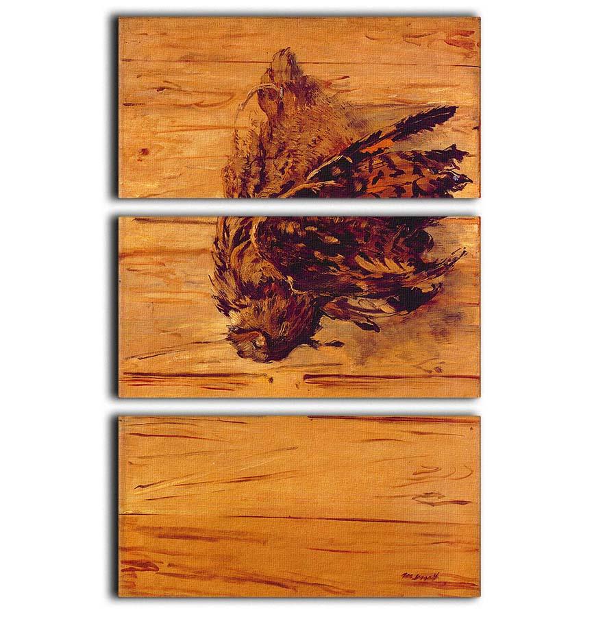 Three-panel canvas print featuring Dead Uhu by Manet, showcasing vibrant colors and intricate details, perfect for modern decor.