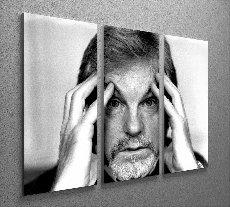 Derek Jacobi 1988 3-panel canvas print showcasing elegant design and vibrant colors.