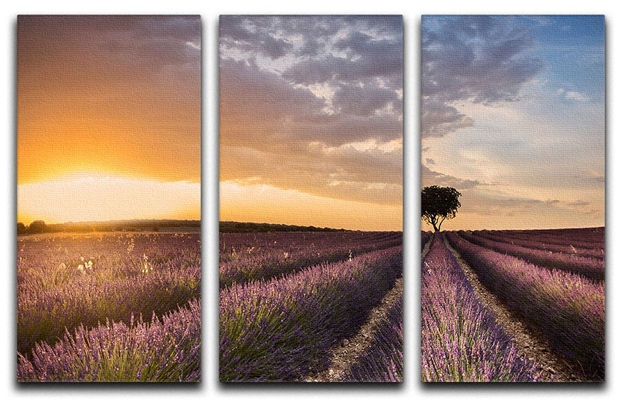 Destination Lavender 3 Split Panel Canvas Print featuring calming lavender hues and elegant design, perfect for home decor.