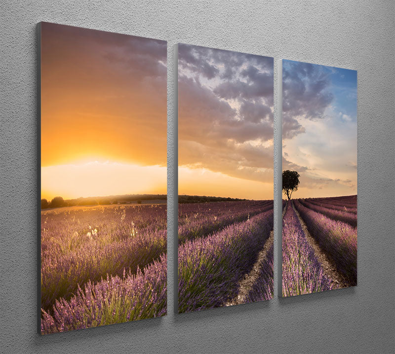 Destination Lavender 3 Split Panel Canvas Print featuring calming lavender hues and elegant design, perfect for home decor.
