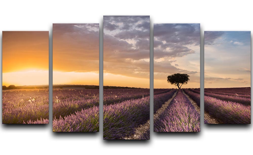 Destination Lavender 5 Split Panel Canvas artwork featuring vibrant lavender fields across five panels.