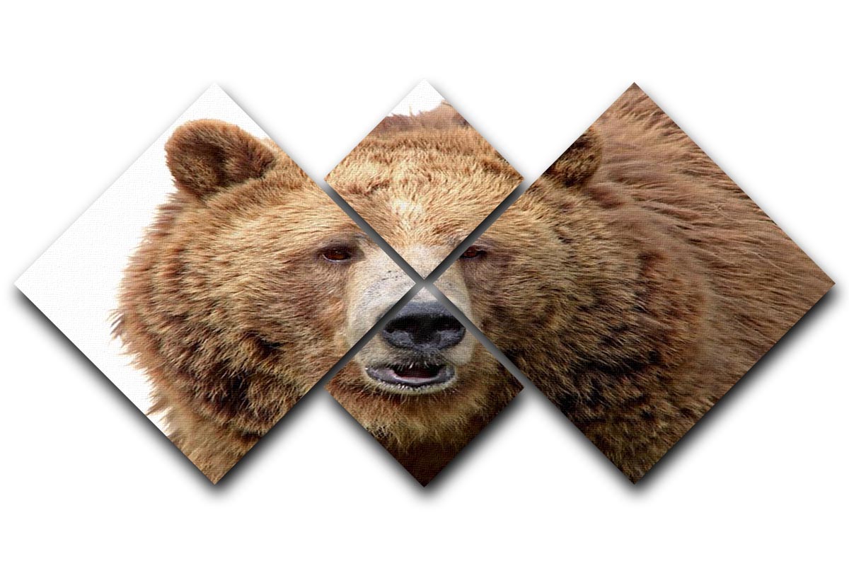 A detailed close-up portrait of a magnificent grizzly brown bear, showcasing its fur and expressive eyes in a 4-square canvas format.