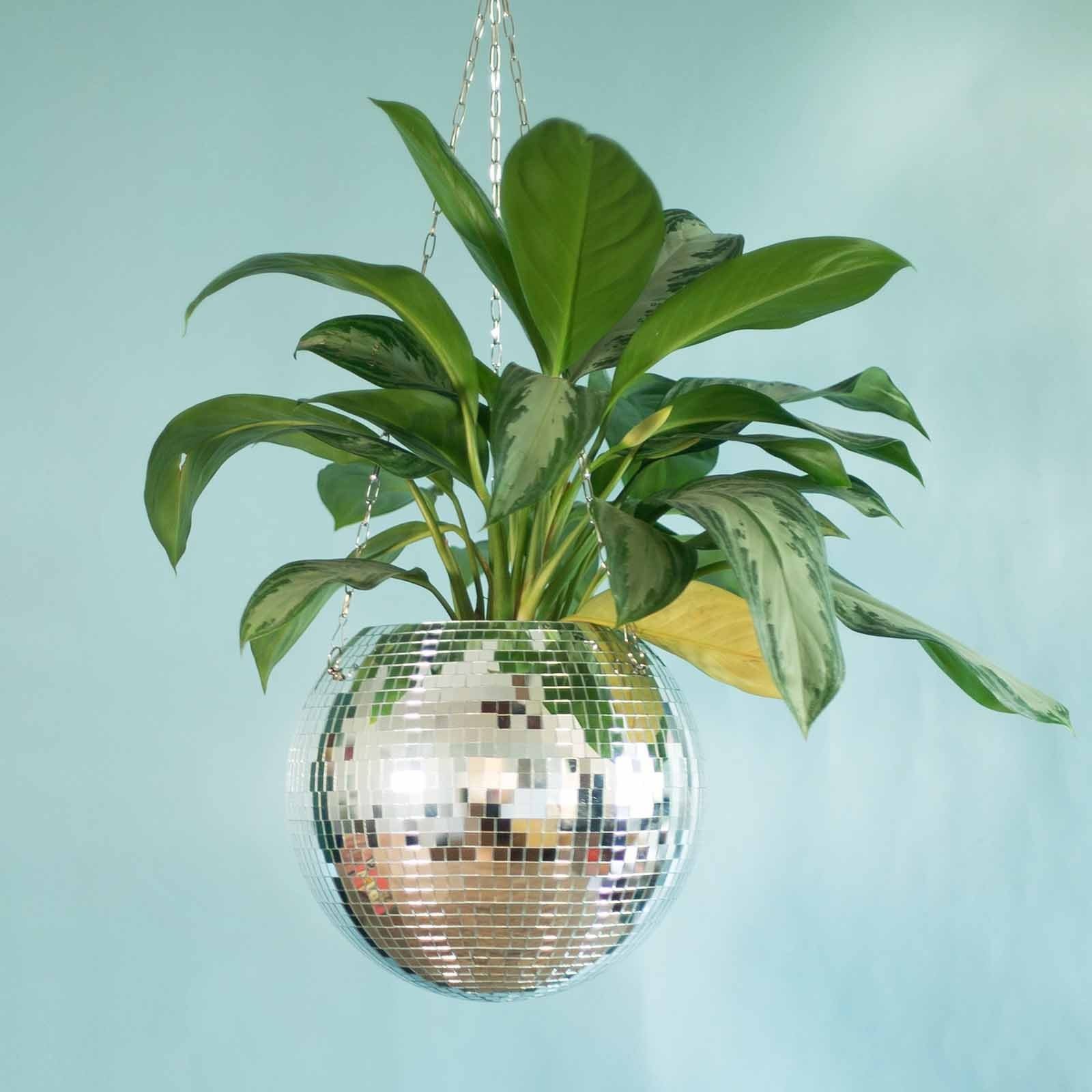 A stylish Disco Ball Planter hanging with vibrant houseplants, reflecting light and adding retro charm to the decor.