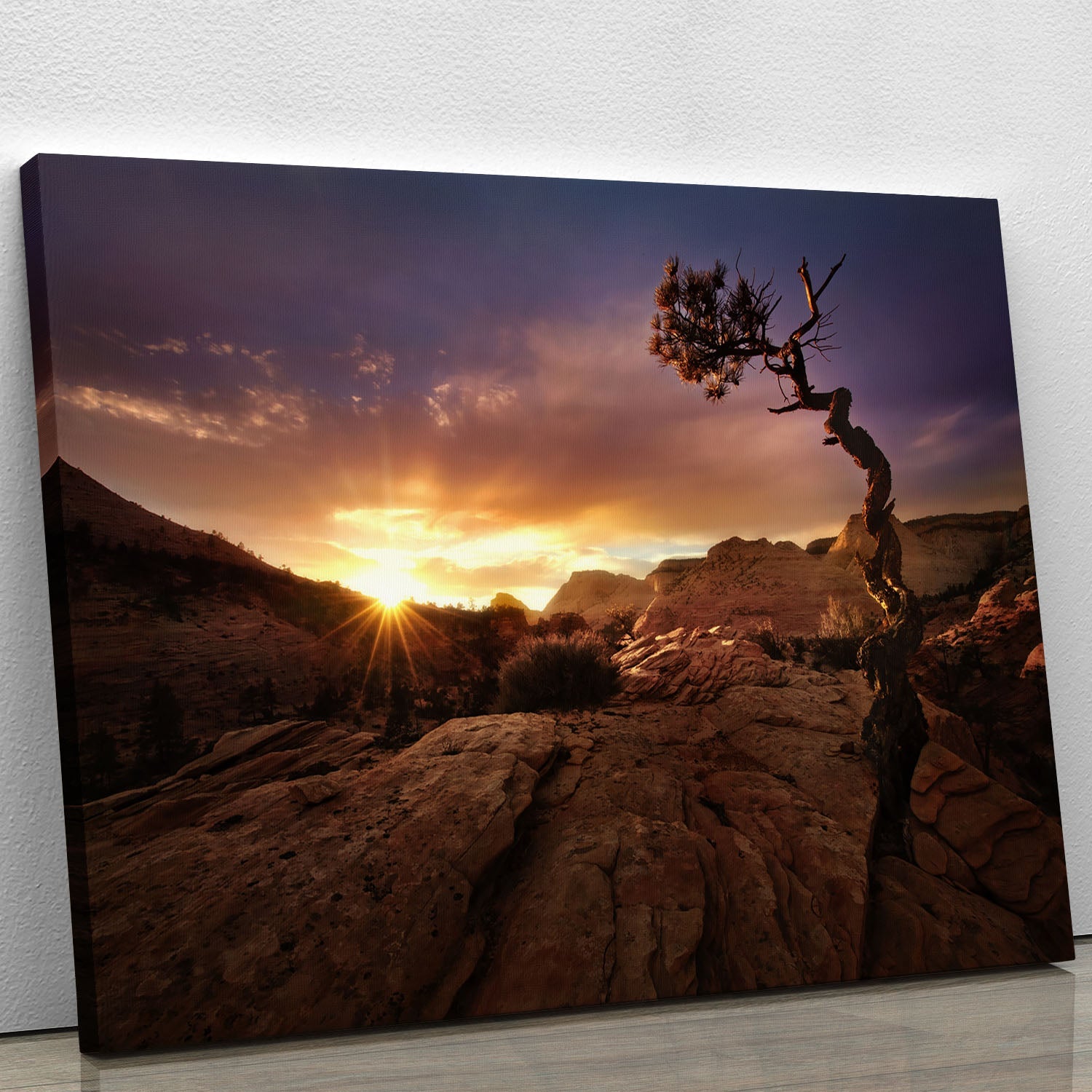 A vibrant Distorted Canvas Print showcasing abstract shapes and colors, perfect for modern decor.