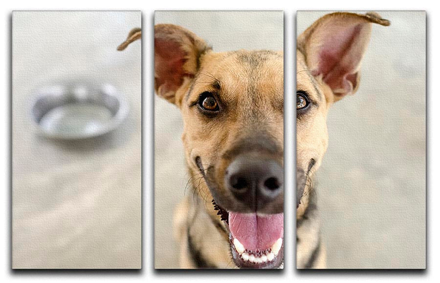 A beautiful 3-panel canvas print featuring a dog and bowl, showcasing vibrant colors and intricate details, perfect for home decor.