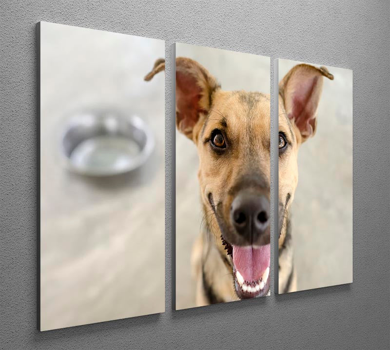A beautiful 3-panel canvas print featuring a dog and bowl, showcasing vibrant colors and intricate details, perfect for home decor.