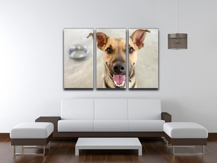 A beautiful 3-panel canvas print featuring a dog and bowl, showcasing vibrant colors and intricate details, perfect for home decor.