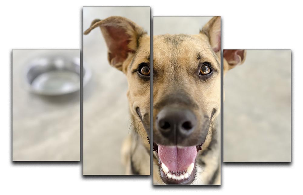 A vibrant 4-panel canvas artwork featuring a dog and a bowl, showcasing a dynamic and multi-dimensional design.