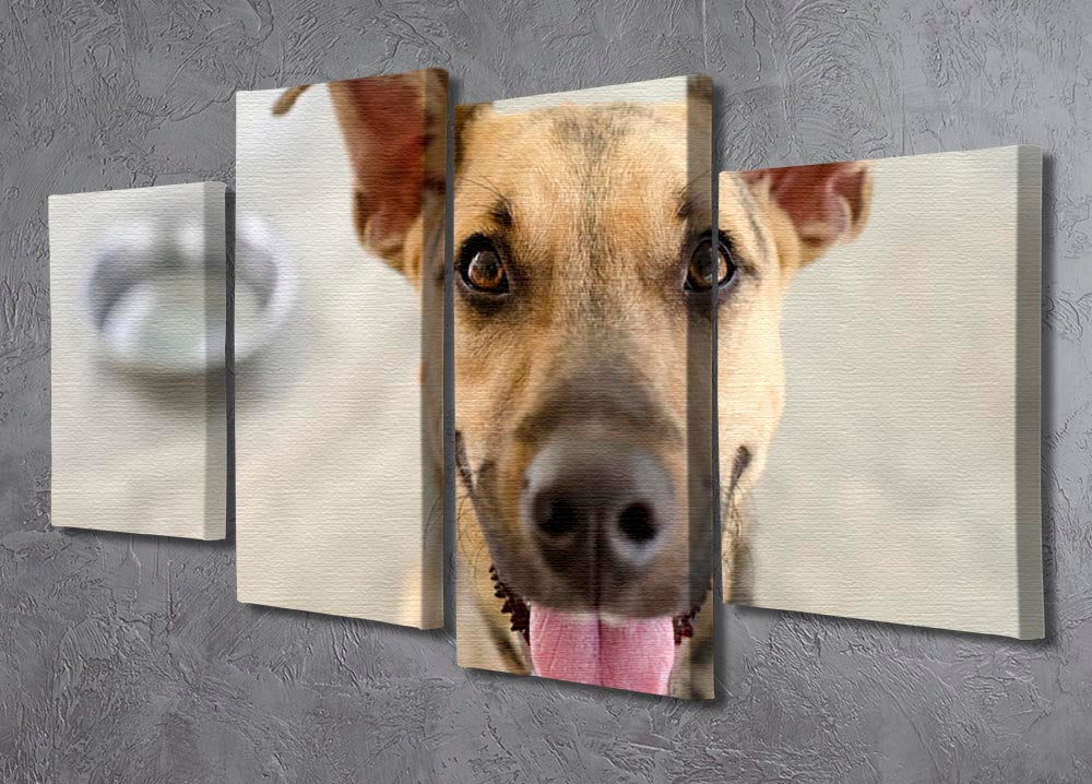 A vibrant 4-panel canvas artwork featuring a dog and a bowl, showcasing a dynamic and multi-dimensional design.