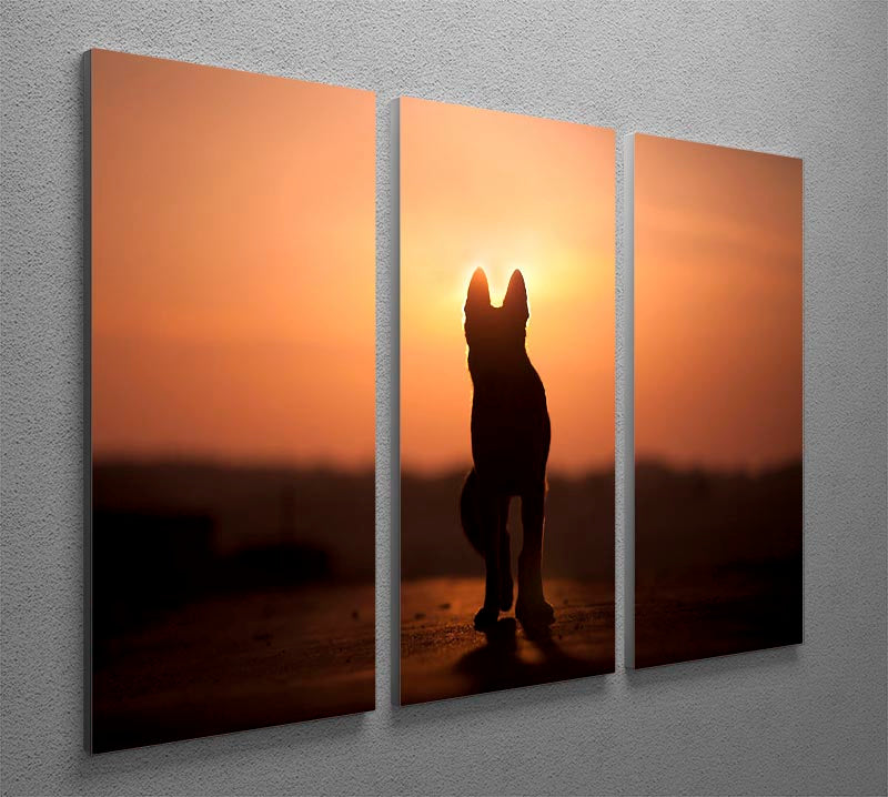 A stunning 3-panel canvas print featuring a dog silhouette against a vibrant sunset, perfect for home decor.