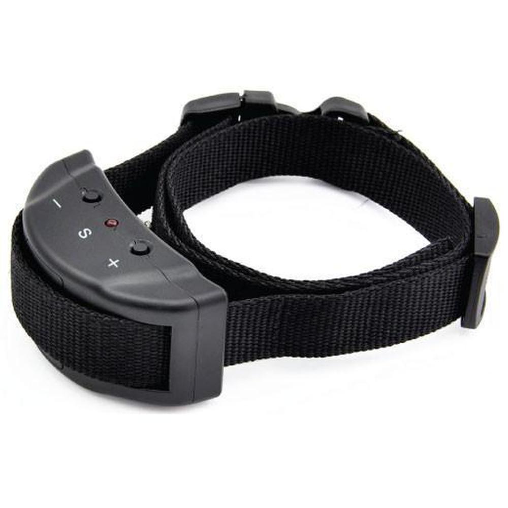 A small to medium-sized dog wearing a humane Dog Bark Collar designed for automatic training with sound and vibration.