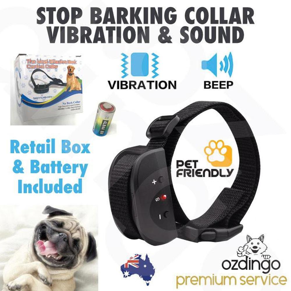 A small to medium-sized dog wearing a humane Dog Bark Collar that uses vibration and sound for training.