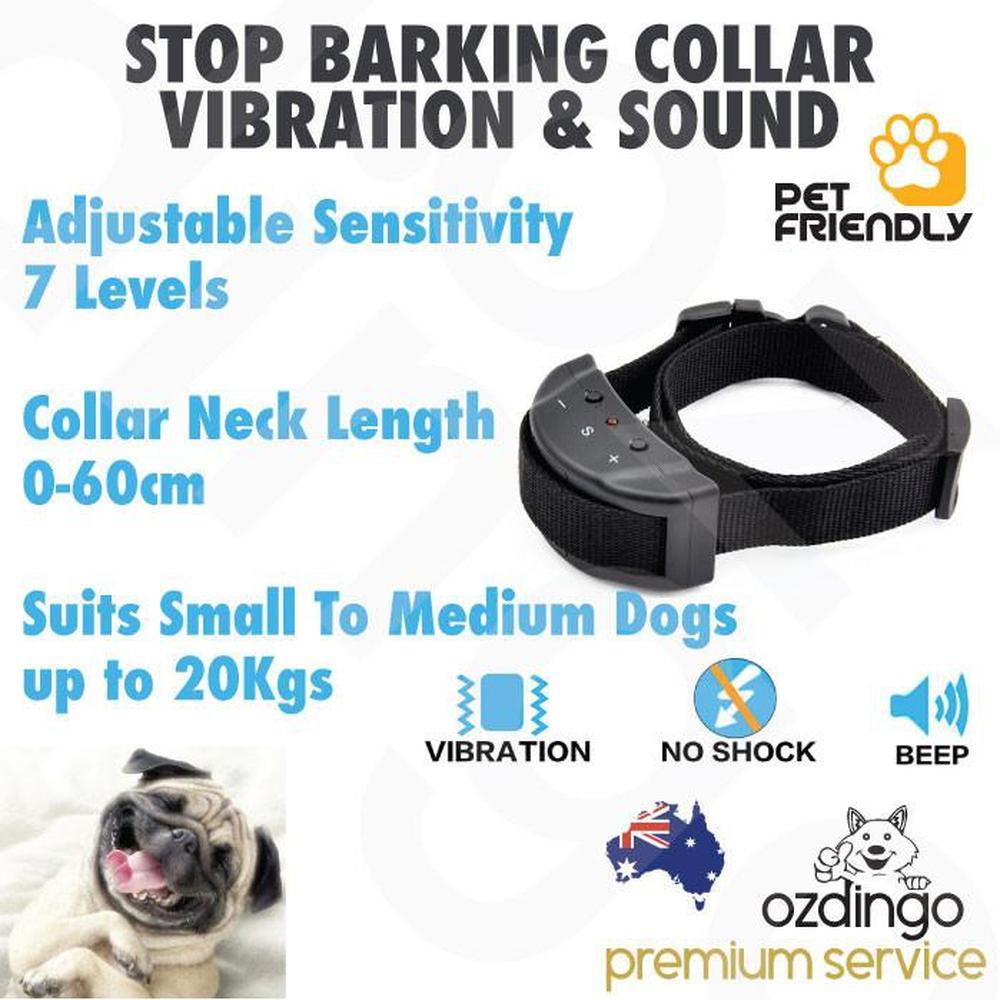 A small to medium-sized dog wearing a humane Dog Bark Collar that uses vibration and sound for training.